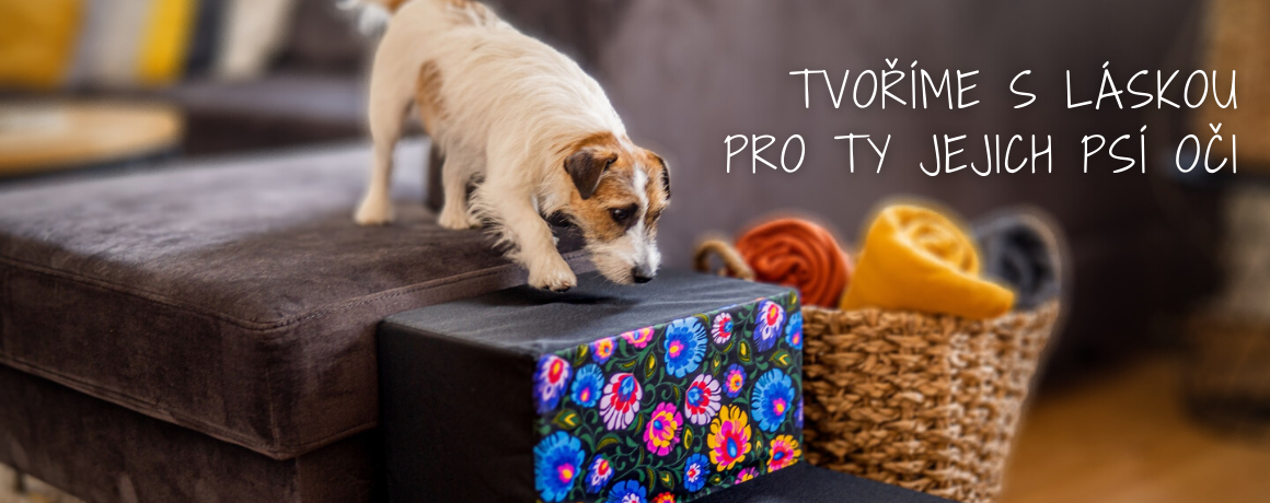 Iridog Tvoříme s láskou pro ty jejich psí oči