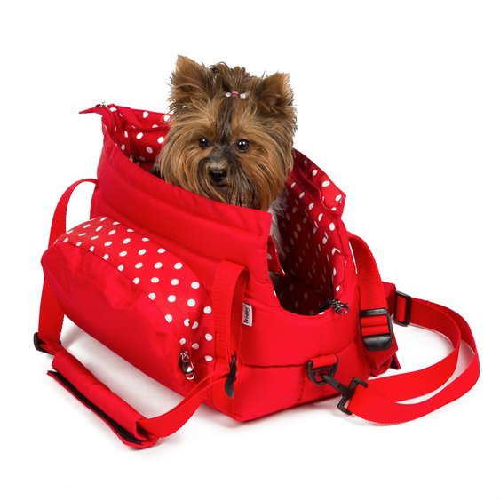 Přepravní taška na psa CARRIE no.2 červená s puntíky biewer teriér.jpg