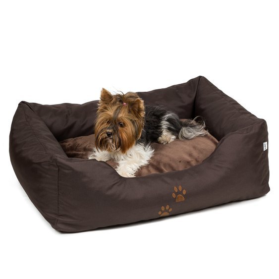 Pelech pro psa ZIPPY 2v1 tmavě hnědý s tlapkami biewer terier.jpg