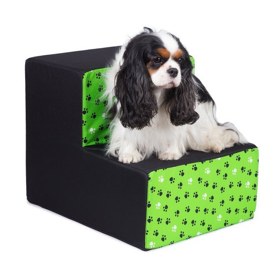 Schody pro psy dvojnášlap černé se zelenými tlapky.jpg