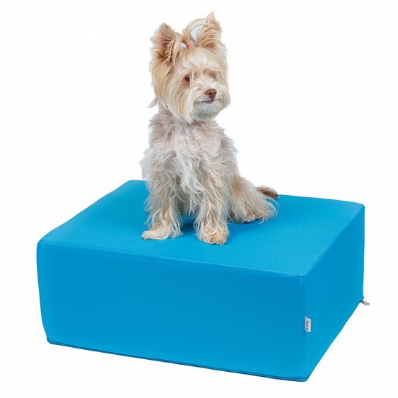 Schůdek pro psa STEPPIE no.5 tyrkysový biewer.jpg